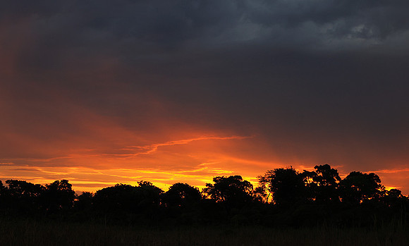 sunset - MalaMala
