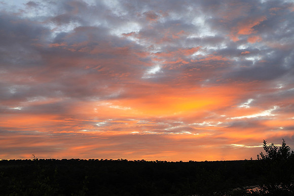 Sunset at Mala Mala