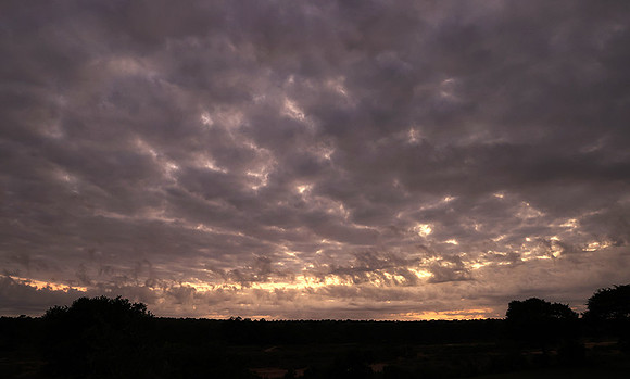 Sunrise - MalaMala