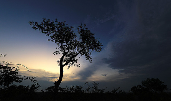Sunset - Lion Sands