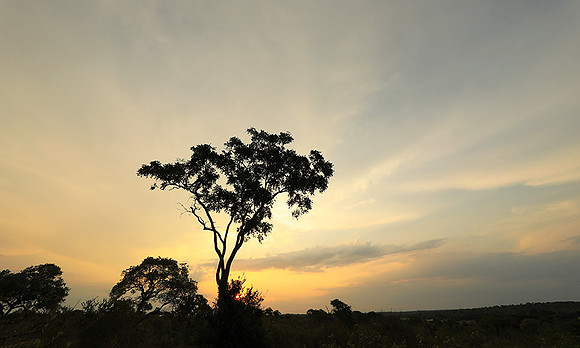 Sunset - Lion Sands