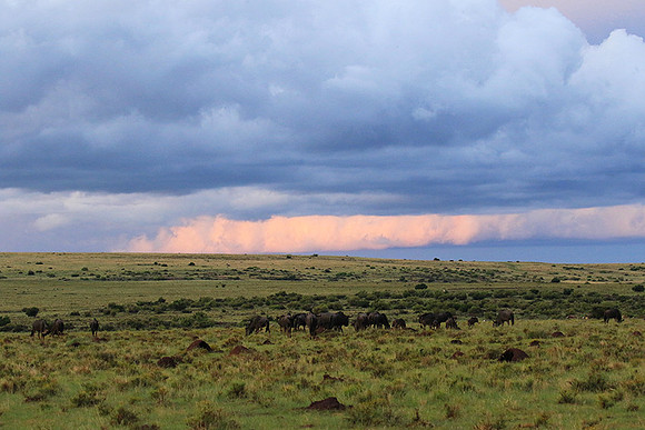 Sunset at Tiger Canyon - Karoo
