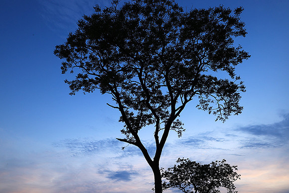Sunset - Lion Sands