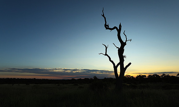 Sunset at Mala Mala