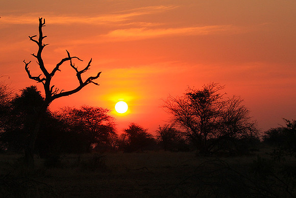 Sunset - Kruger NP