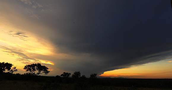 Sunset - Londolozi game reserve