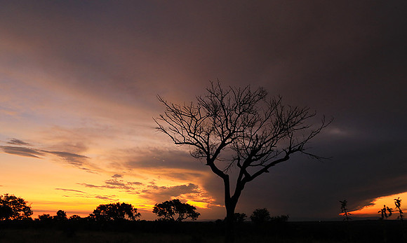 Sunset - Londolozi game reserve