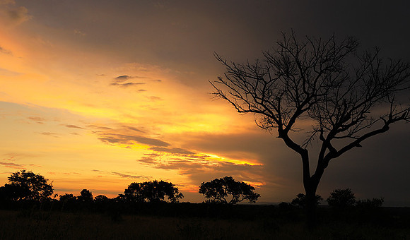 Sunset - Londolozi game reserve
