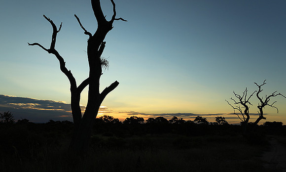 Sunset at Mala Mala