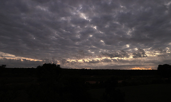 Sunrise - MalaMala