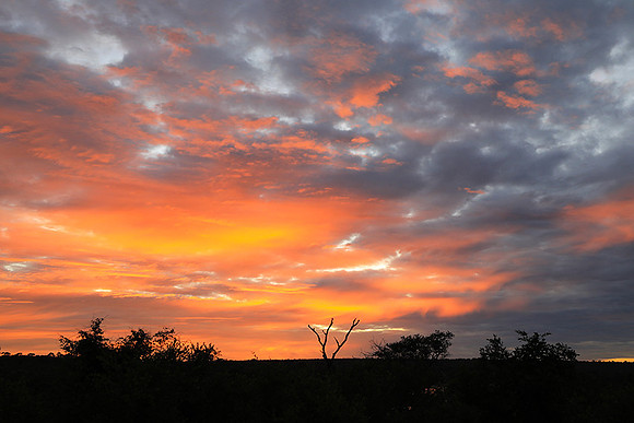 Sunset at Mala Mala
