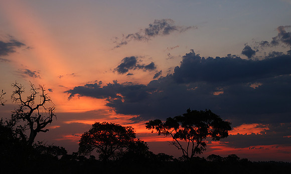Sunset - Lion Sands