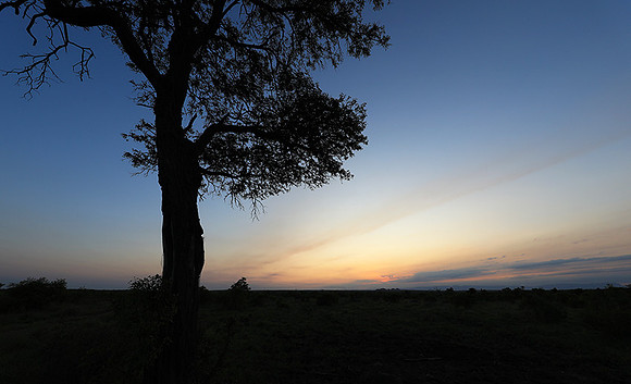 Sunset - Sabi Sand