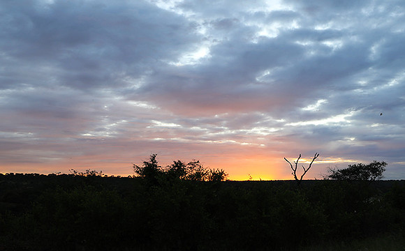 Sunset at Mala Mala