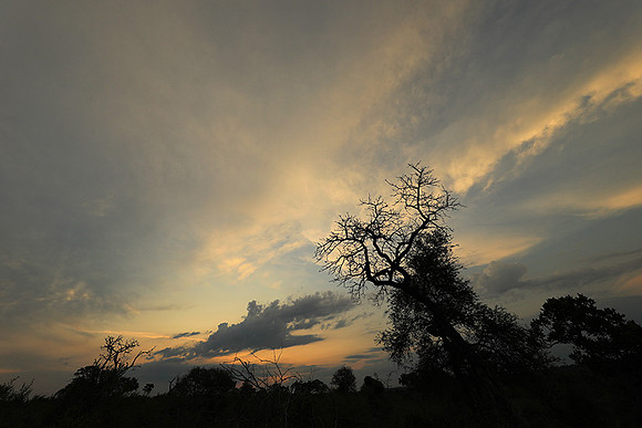 Sunset - Lion Sands