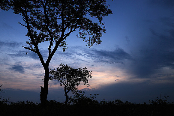 Sunset - Lion Sands