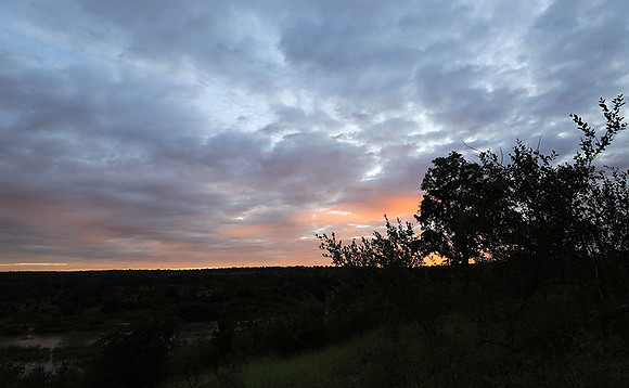 Sunset at Mala Mala