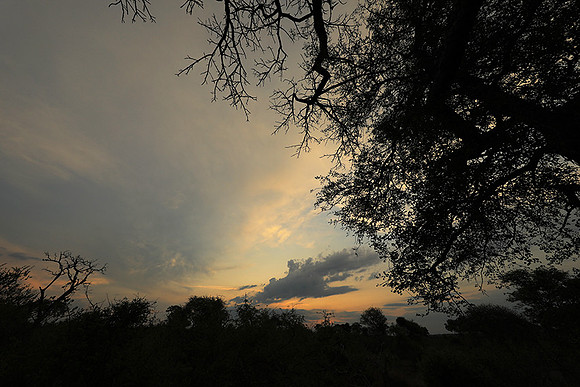 Sunset - Lion Sands