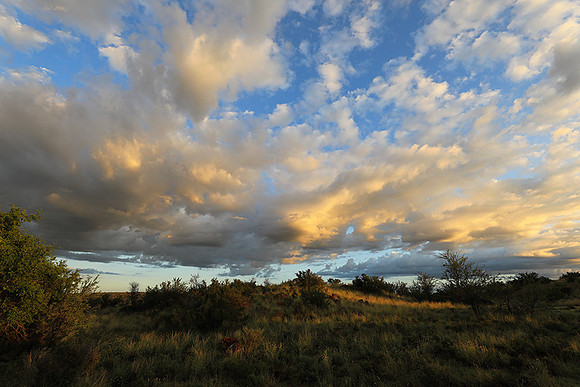 Sunrise at Tiger Canyon - Karoo