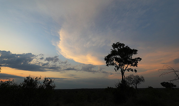 Sunset - Lion Sands