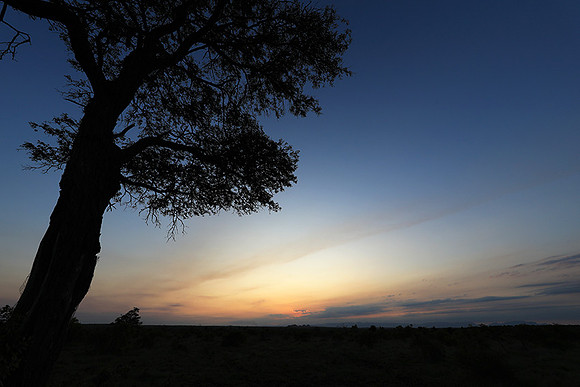 Sunset - Sabi Sand