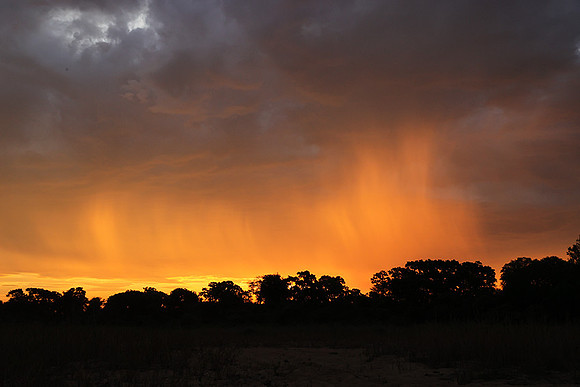 sunset - MalaMala