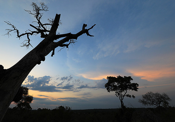 Sunset - Lion Sands