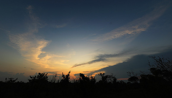 sunset - MalaMala