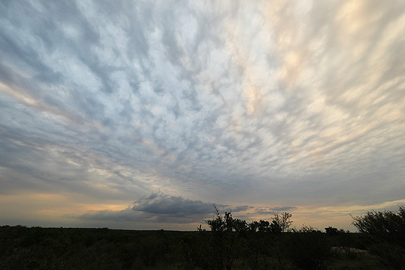Sunset - Lion Sands