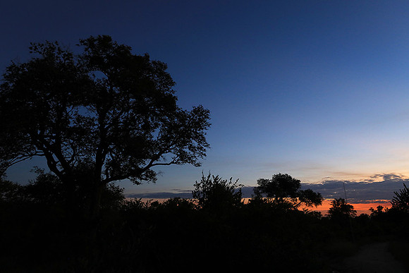 Sunset at Mala Mala