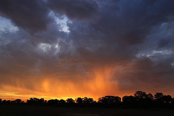 sunset - MalaMala
