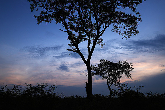 Sunset - Lion Sands