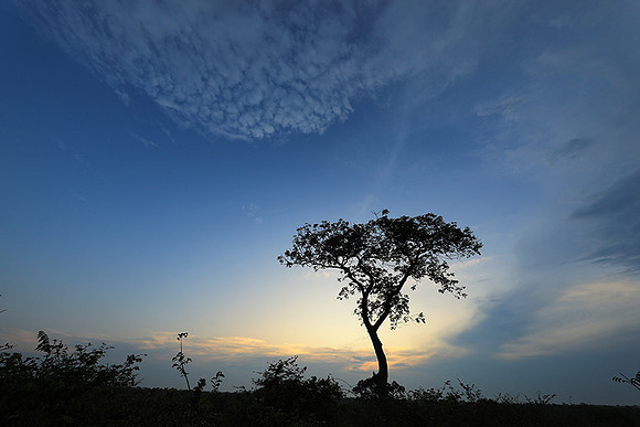 Sunset - Lion Sands