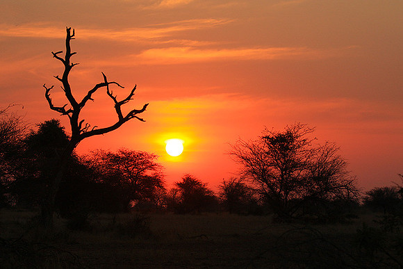 Sunset - Kruger NP