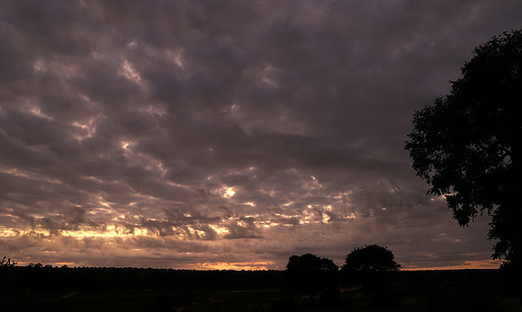 Sunrise - MalaMala