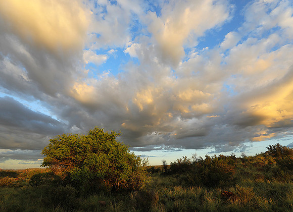Sunrise at Tiger Canyon - Karoo