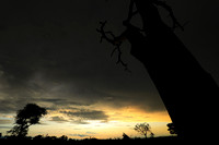 Sunset - Sabi Sand