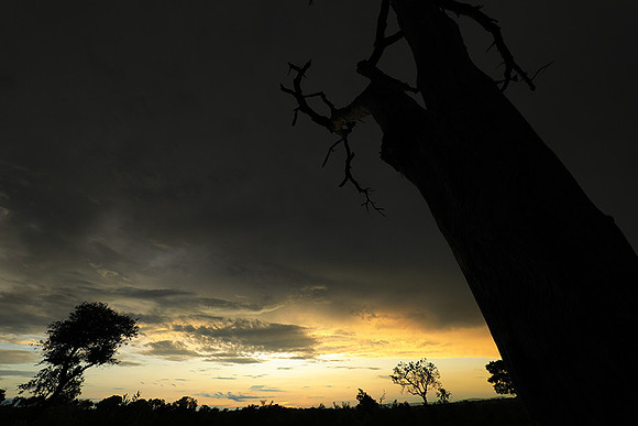 Sunset - Sabi Sand