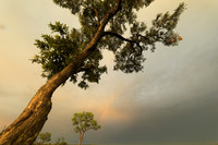 Sunset - Sabi Sand