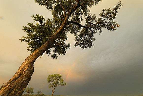 Sunset - Sabi Sand