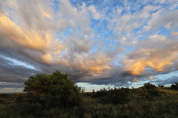 Sunrise at Tiger Canyon - Karoo