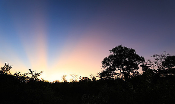 Sunset at Mala Mala