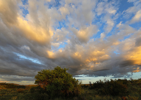 Sunrise at Tiger Canyon - Karoo