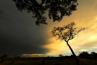 Sunset - Sabi Sand