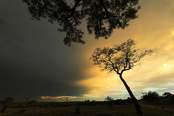 Sunset - Sabi Sand
