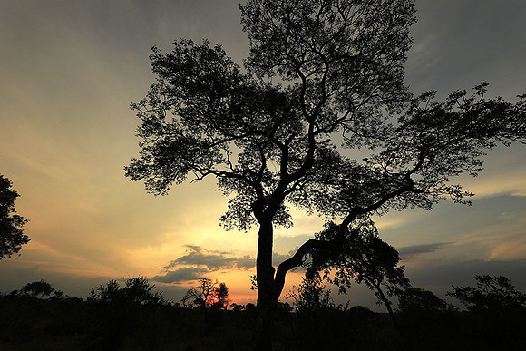 Sunset - Lion Sands