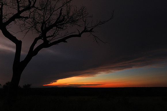 Sunset - Londolozi game reserve