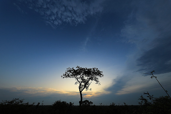 Sunset - Lion Sands