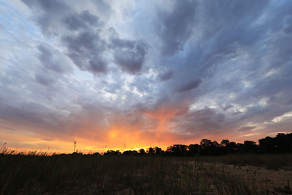 sunset - MalaMala