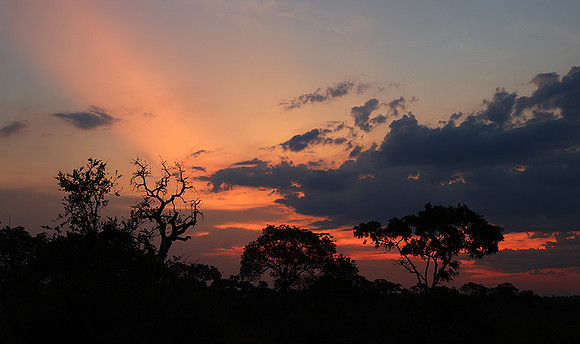 Sunset - Lion Sands